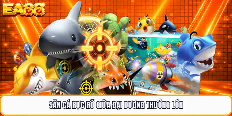Săn cá rực rỡ giữa đại dương thưởng lớn